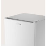 Frigorífico F22 EVVO 46 L 41 dB Clase energética E - Imagen 6